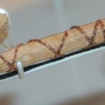 Close up of string used to attach wooden bristles to wooden handle