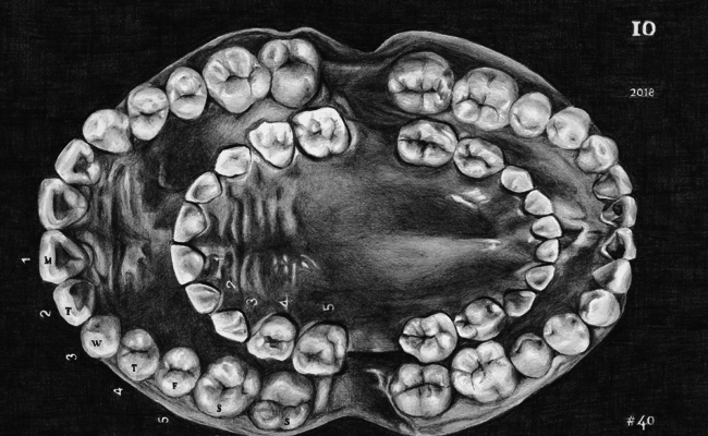 Drawing of teeth featured in the Maya Attoun exhibition at the Jewish Museum London