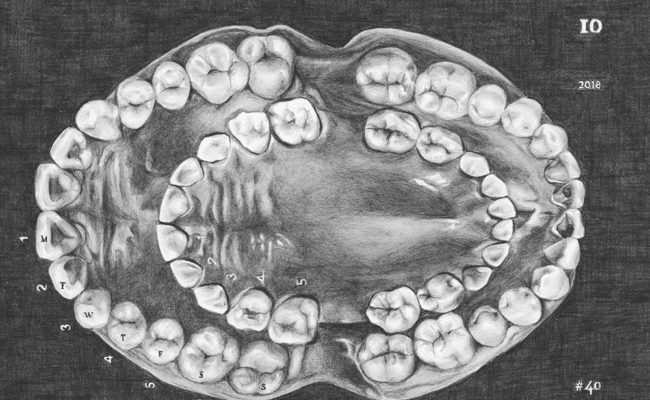Maya Attoun: image of teeth