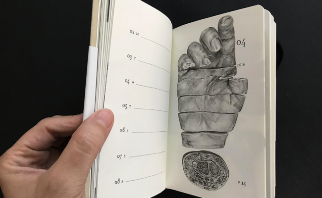 Hand opening pages of a sketch book onto image of sliced hand pencil drawing