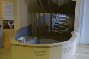 Mikveh on the ground floor of the museum from the 13th Century